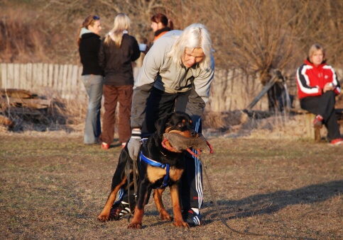 Training in Estonia 30.3 - 1.4. 2007